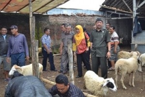 Komisi II DPRD Kuningan saat mengunjungi pasar hewan Awirarangan.